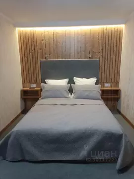 Комната Псковская область, Псков Пароменская ул., 4 (30.0 м)