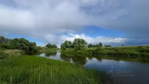 Участок в Ярославская область, Ярославский муниципальный округ, ...
