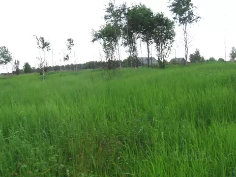 Участок в Калужская область, Малоярославецкий муниципальный округ, ...