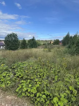 Участок в Московская область, Дмитровский муниципальный округ, Аусбург ...