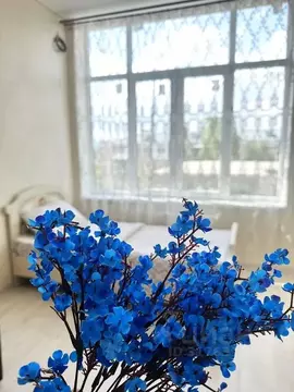 2-к кв. Ставропольский край, Кисловодск ул. Кутузова, 65 (90.0 м)