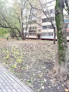 1-к кв. Москва 3-я Фрунзенская ул., 15 (34.0 м)