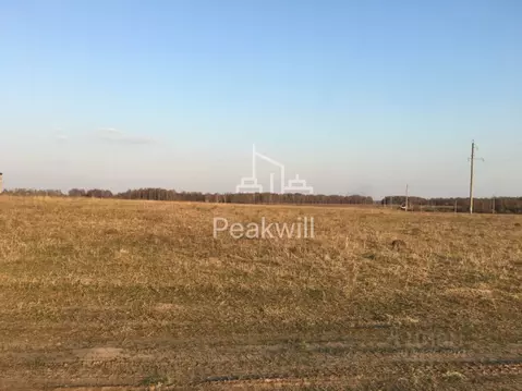 Участок в Владимирская область, Александровский муниципальный округ, ...