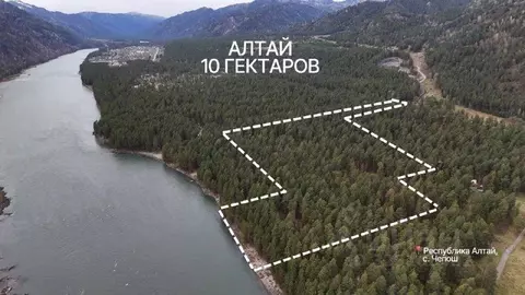 Участок в Алтай, Чемальский район, Чепошское с/пос  (10.0 сот.)
