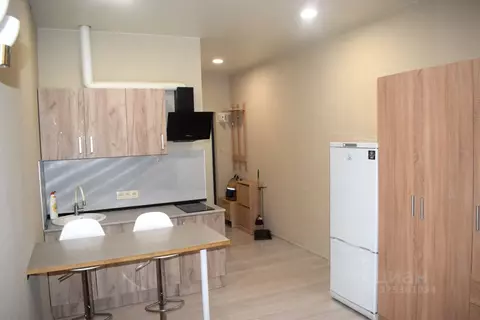 Студия Москва просп. Магеллана, 5 (24.0 м)