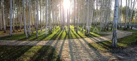 Участок в Тюменская область, Нижнетавдинский муниципальный округ, ...