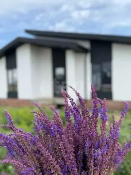 Дом в Саратовская область, д. Мергичевка ул. Малая Приовражная (104 м)