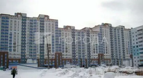 Студия Новосибирская область, Новосибирск Рябиновая ул., 10/1 (24.0 м)