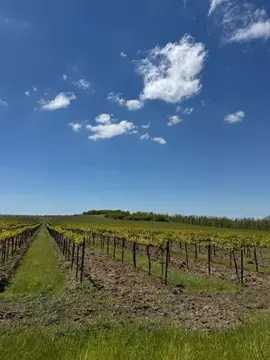 Участок в Краснодарский край, Анапа муниципальный округ, Гостагаевская ...