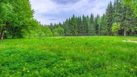 Участок в Москва д. Каменка, Графские Пруды кп,  (24.0 сот.)