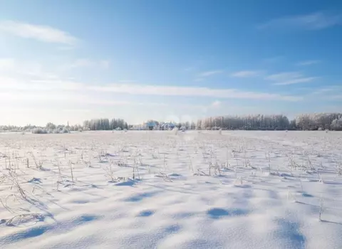 Участок в Московская область, Коломна городской округ, д. Шапкино  ...