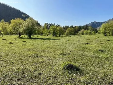 Участок в село Узнезя, переулок Медуница (12 м)