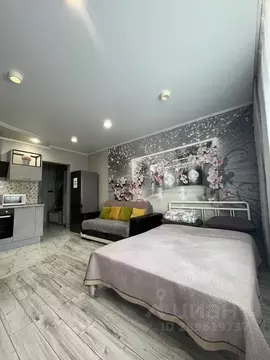 Студия Оренбургская область, Оренбург ул. Геннадия Донковцева, 5/4 ...