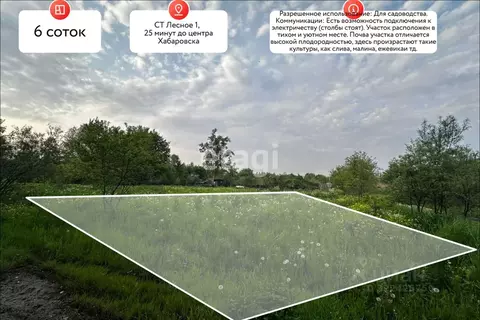 Участок в Хабаровский край, Хабаровск Лесное-1 СТ,  (6.0 сот.)