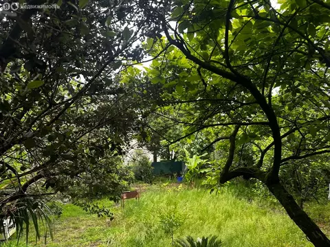 Участок в Краснодарский край, городской округ Сочи, село Каштаны (5 м)