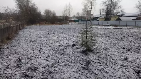 Участок в Вологодская область, Сокол ул. Карпово (15.0 сот.)