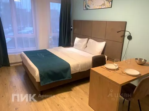 Студия Санкт-Петербург Варфоломеевская ул., 6 (24.6 м)