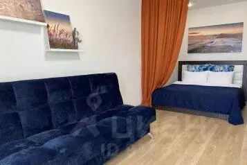 1-к кв. Иркутская область, Иркутск ул. Трилиссера, 18Б (42.0 м)