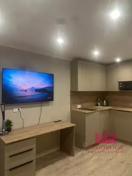 Студия Москва Новоостаповская ул., 20 (25.0 м)