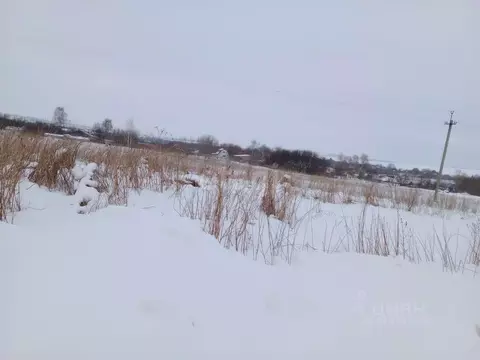 Участок в Мордовия, Ромодановский район, с. Пятина Советская ул. (24.5 ...