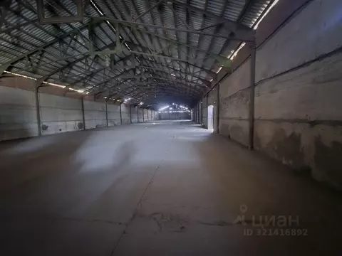 Производственное помещение в Краснодарский край, Северская ст-ца ул. ...