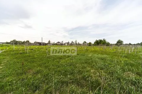 Участок в Пермский край, Пермский муниципальный округ, пос. Красный ...
