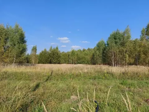 Участок в Тульская область, Заокский район, Малаховское с/пос, д. ...