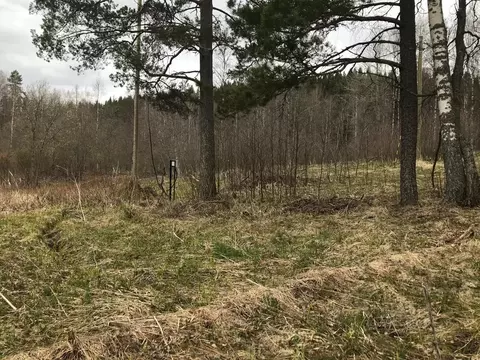 Участок в Карелия, Лахденпохский муниципальный округ, пос. Микли  ...