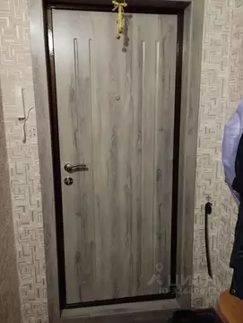 2-к кв. Самарская область, Тольятти Тополиная ул., 3 (56.0 м)