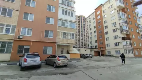 Помещение свободного назначения в Краснодарский край, Анапа ...