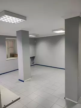 Помещение свободного назначения в Москва Переведеновский пер., 55 (30 ...