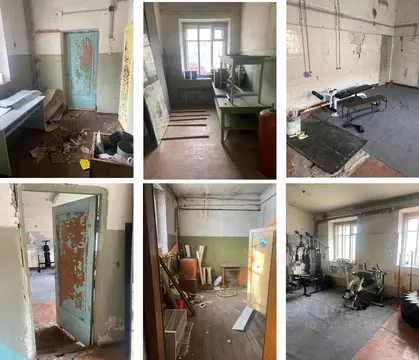 Помещение свободного назначения в Карелия, Пряжа пгт ул. ...