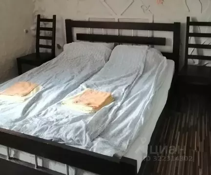 Комната Нижегородская область, Нижний Новгород ул. Германа Лопатина, ...