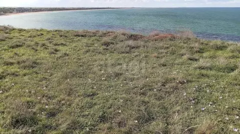 Участок в Крым, Ленинский район, Семисотское с/пос, с. Каменское ул. ...