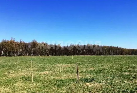 Участок в Новосибирская область, Новосибирский район, Станционный ...