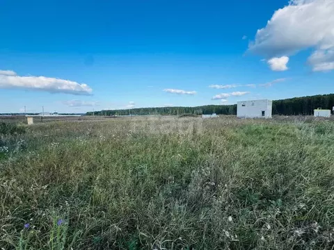 Участок в Челябинская область, Сосновский муниципальный округ, д. ...