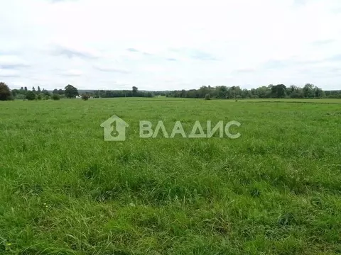 Участок в Ивановская область, Ивановский муниципальный округ, д. ...