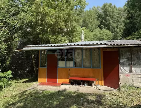 Дом в Алтайский край, Алтайский район, с. Старобелокуриха ул. ...