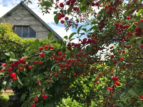 Дом в Самарская область, Ставропольский район, Сосновый Солонец с/пос, ...