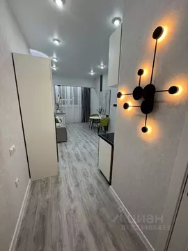 Студия Краснодарский край, Краснодар Российская ул., 267/4 (28.0 м)