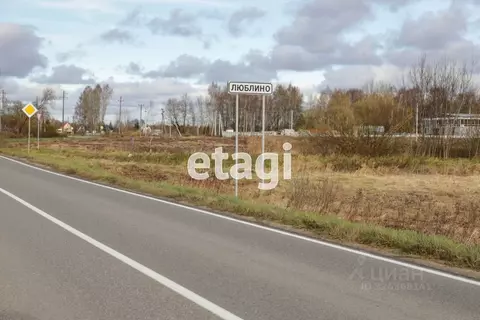 Участок в Калининградская область, Калининград Осень-Люблино СНТ, ...