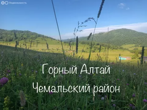 Участок в Чемальский район, поселок Верх-Анос, Центральная улица (30 ...