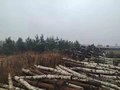 Участок в Московская область, Орехово-Зуевский городской округ, д. ...