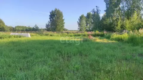 Участок в Ярославская область, Ярославский муниципальный округ, д. ...