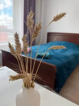 Студия Московская область, Одинцово ул. Рябиновая, 1к1 (20.0 м)