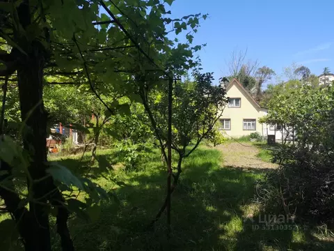 Участок в Краснодарский край, Сочи городской округ, с. Орел-Изумруд ...