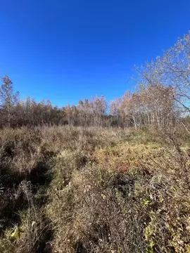 Участок в Амурская область, Благовещенский район, Березка СТ  (10.0 ...