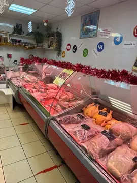 Торговая площадь в Воронежская область, Воронеж ул. 9 Января, 233/29 ...