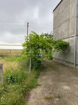 Дом в Крым, Черноморский район, с. Новоивановка ул. Вишневая, 7 (238 ...