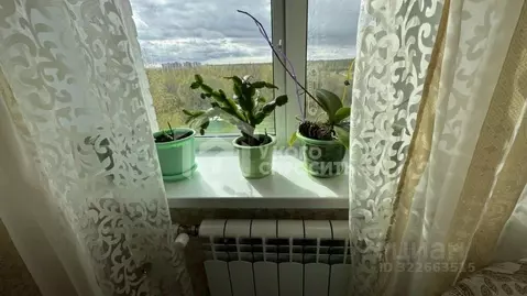 1-к кв. Санкт-Петербург, Санкт-Петербург, Петергоф Чичеринская ул., ...